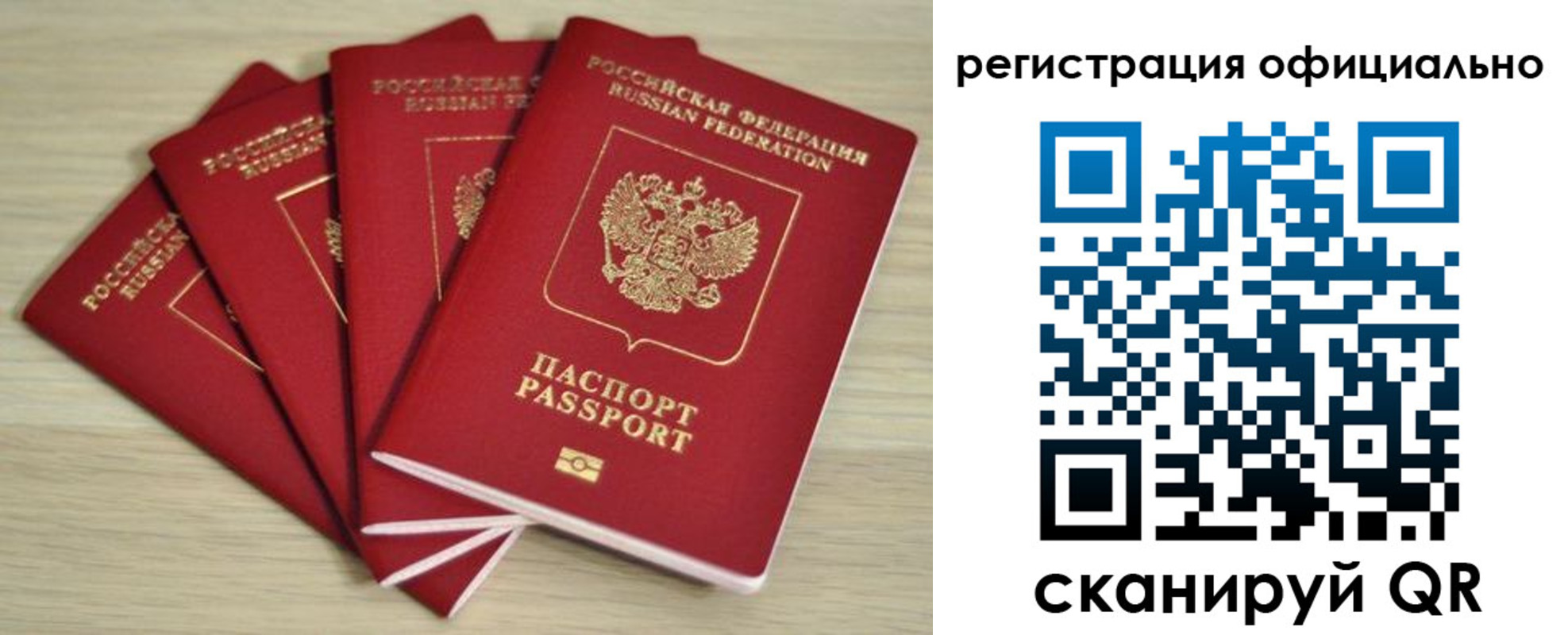 временная прописка в Оленегорске